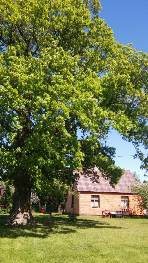 Searooms Lapmežciems エクステリア 写真