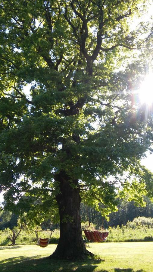 Searooms Lapmežciems エクステリア 写真